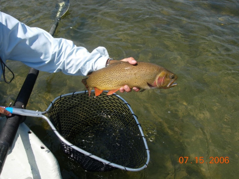 07.2006 - So. Fork Snake River2006-07-15_15.JPG