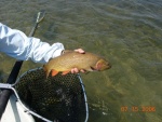 07.2006 - So. Fork Snake River2006-07-15_16.JPG