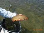 07.2006 - So. Fork Snake River2006-07-15_17.JPG