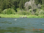 07.2006 - So. Fork Snake River2006-07-15_2.JPG