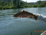 07.2006 - So. Fork Snake River2006-07-16.JPG