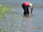 07.2006 - So. Fork Snake River2006-07-16_9.JPG